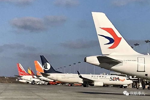 搶運(yùn)物資外運(yùn)產(chǎn)品 煙臺(tái)機(jī)場航空物流逆風(fēng)上揚(yáng)