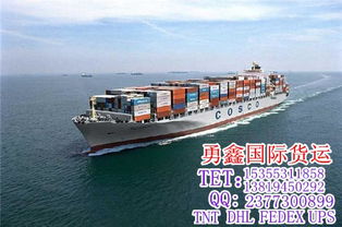 國際快遞電話 義烏至墨西哥國際快遞 勇鑫國際貨運領(lǐng)軍者