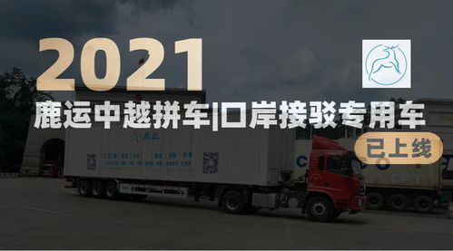 東盟國際物流公司哪家比較好